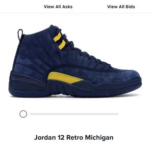 Jordan retro 12 Michigan **used**